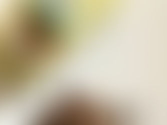 השימוש בפטריות יבשות ותרומתן לשדרוג הטעמים