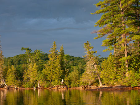 PROTECTION DES RIVES - PROJET DE BORDURES NATURELLES DE BASSINS VERSANTS CANADA - PROLONGATION DE LA DATE LIMITE