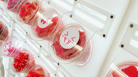 Happy Pills: A Must Visit Candy Pharmacy in Barcelona