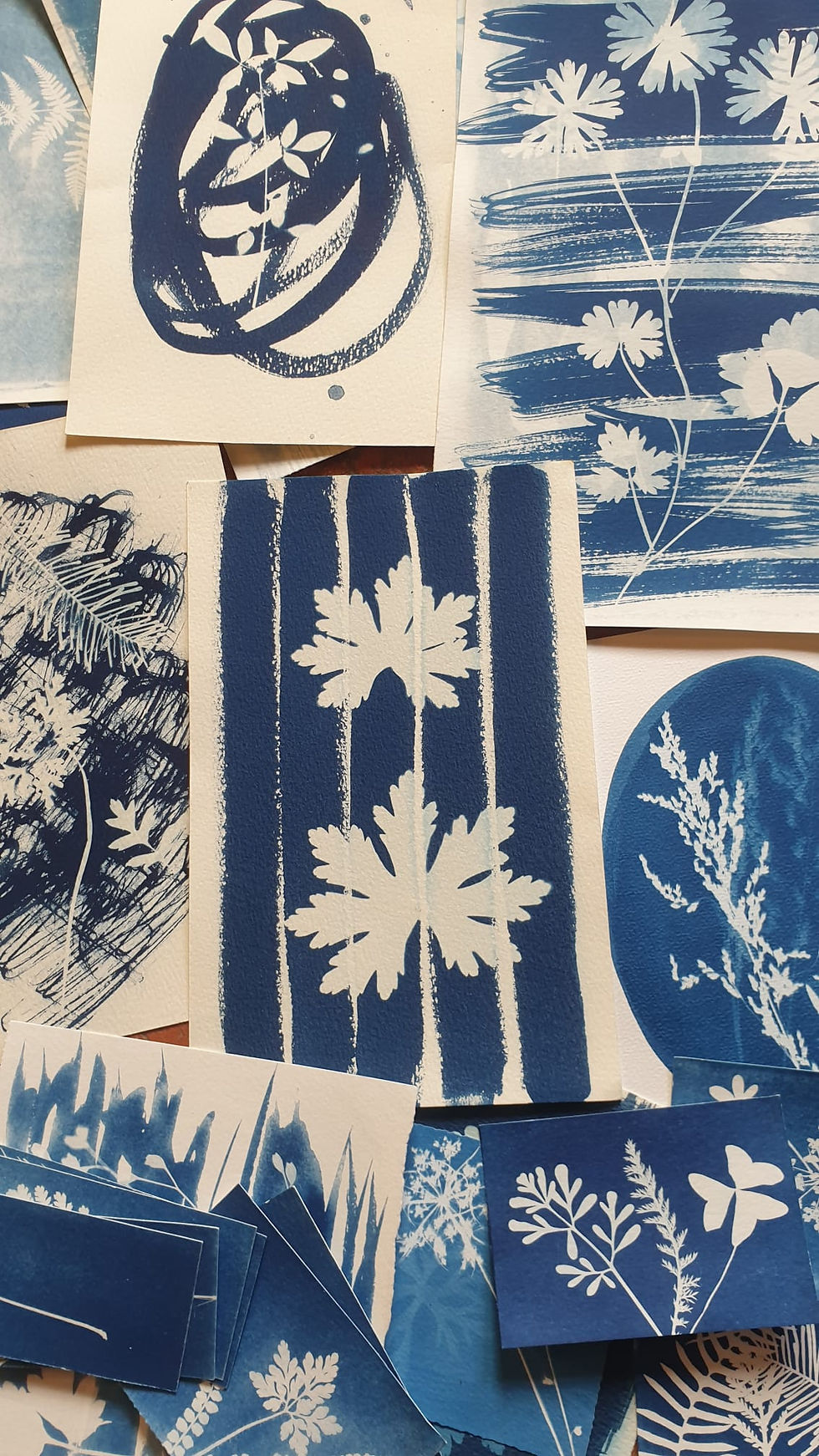 cyanotypes2