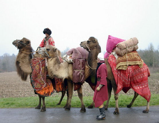 Caravane
