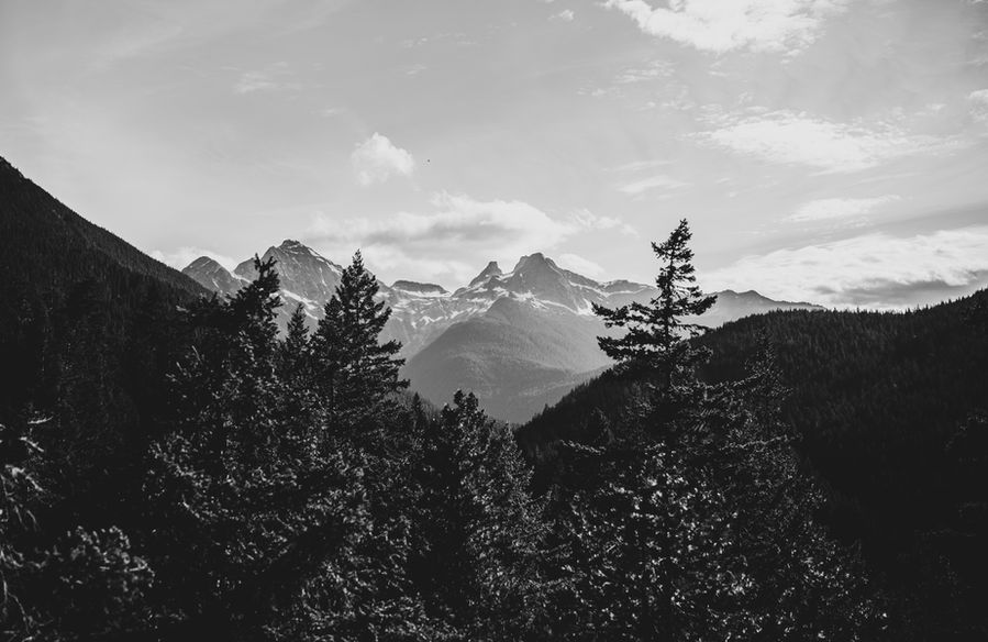 Mount Rainier, 2025, photograph by Anirudh Dhannayak