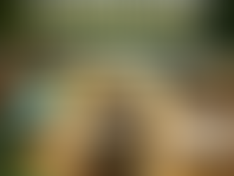 5 Proven Investment Strategies That Helped Me Build Wealth and Retire Early (Jamaica Edition)