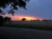 IMG_2178.jpeg