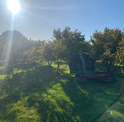 IMG_7838.jpeg