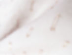 Silk Cotton
