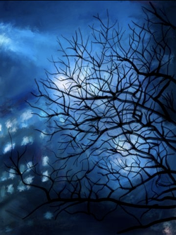 Corel Painter