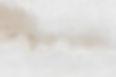 603336.jpg
