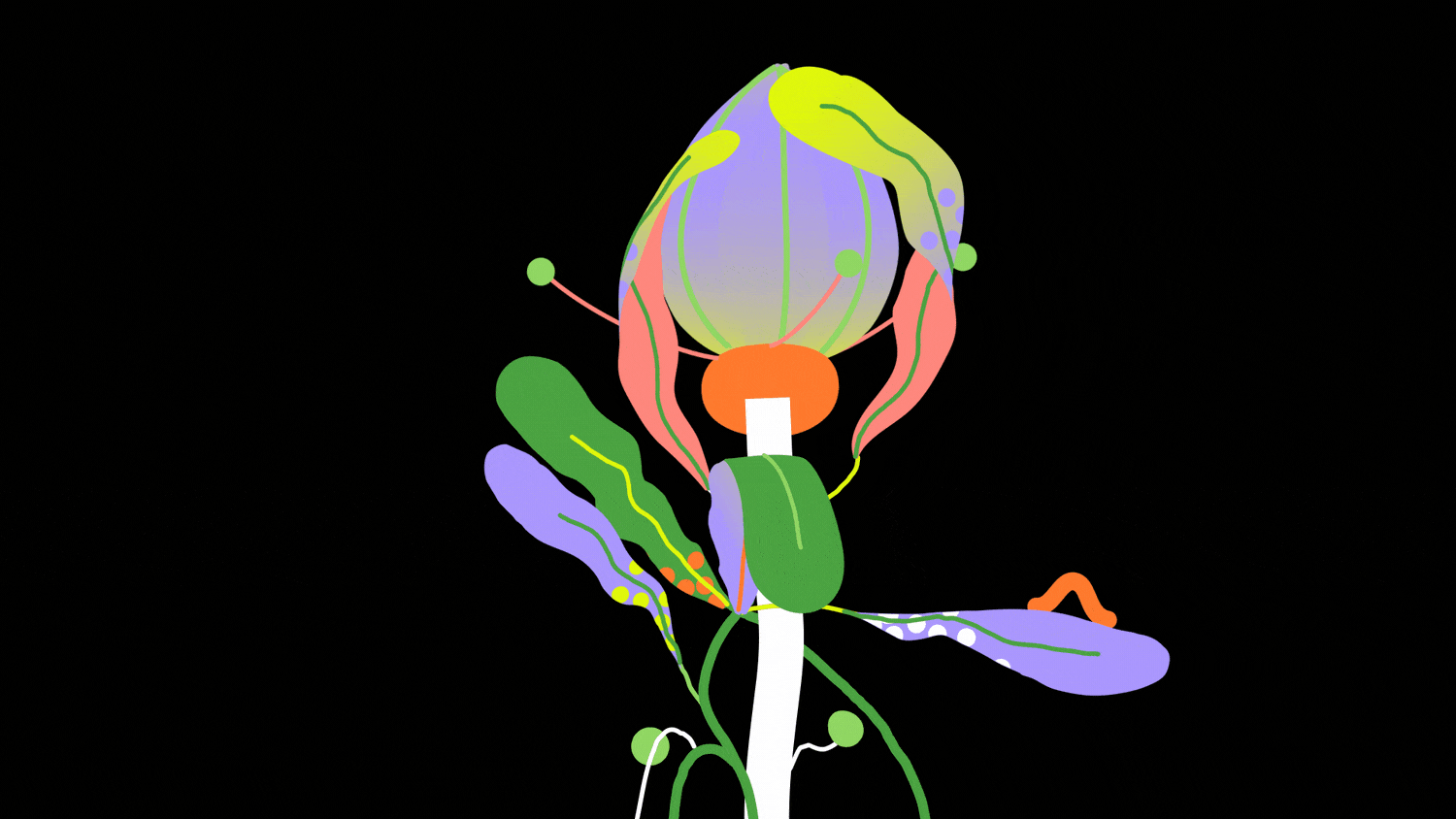 natureorg_03.gif