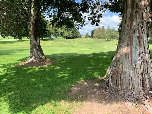 14th behind green.jpg