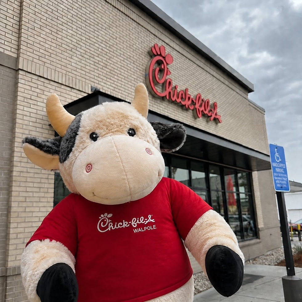 Chick-fil-A Stuffed Animal Sleepover