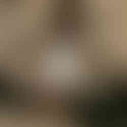 Ivy Lodge front entrance