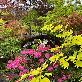 Camile Dirk Paulsen Garden.jpeg