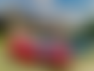 D.O.G. Unleashed; Puns Gone Wild