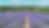 見出しを追加 (9).png