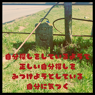 ギャラリー５ (1).png