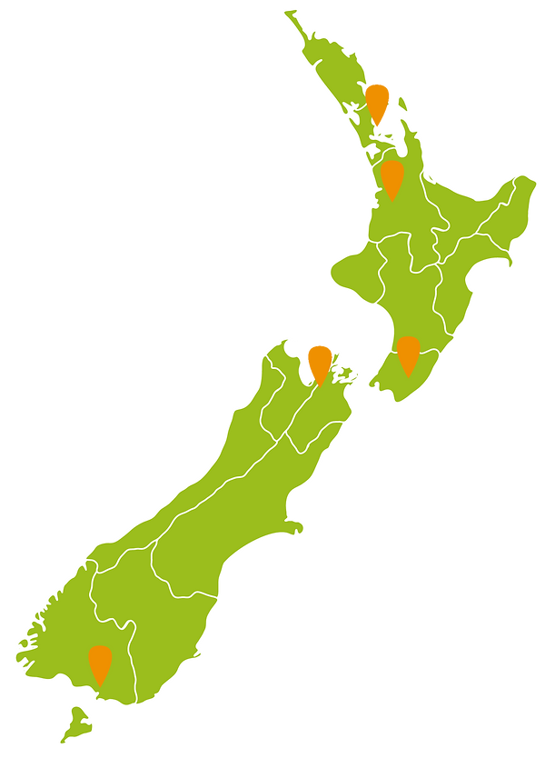 Green illustrated map of aotearoa with location marks on: Auckland, Hamilton, Wellington, Nelson and Invercargill.