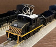 IMG_2250.jpeg