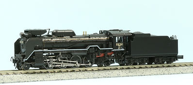 D51194.JPG