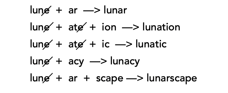 SWI word sums to show morphology