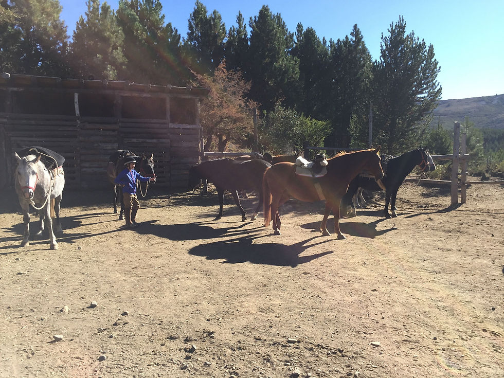 Bariloche - Balade à cheval