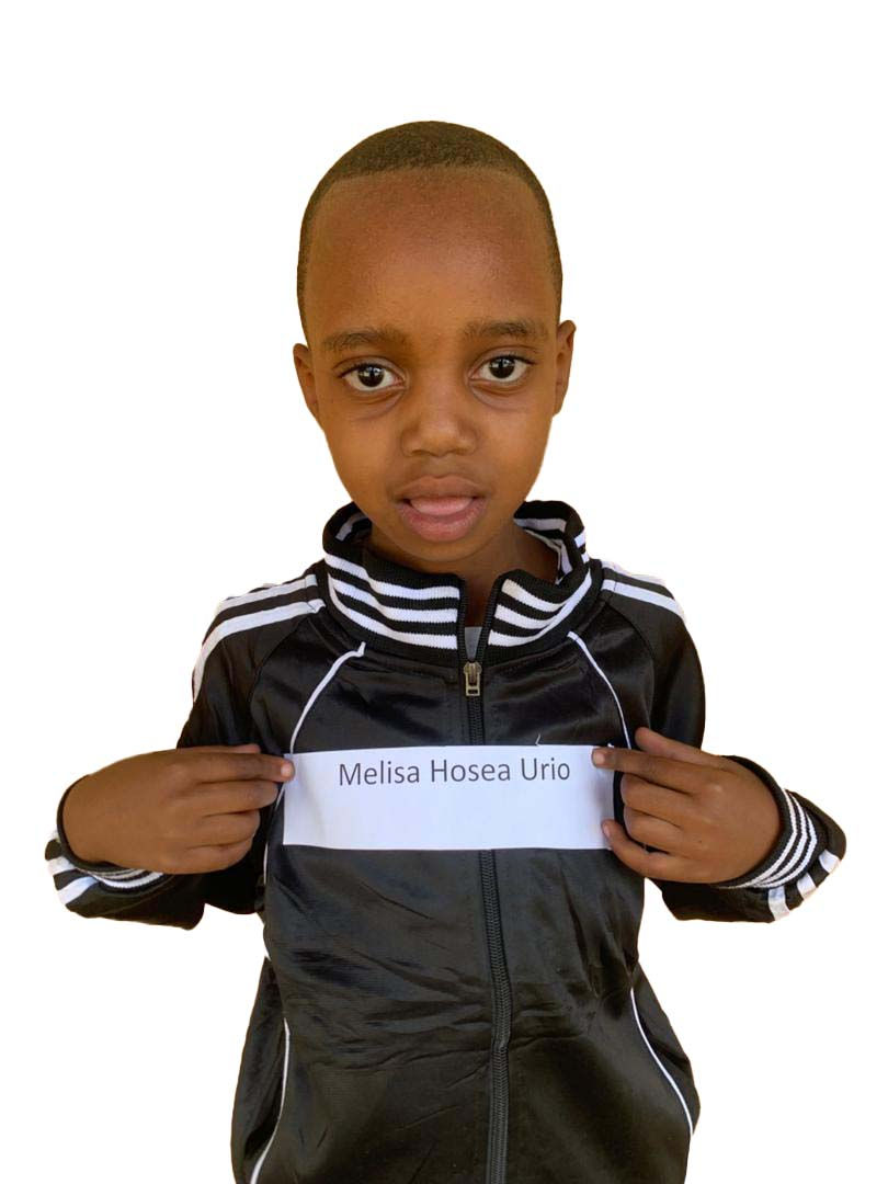 2620 Melisa Hosea Urio