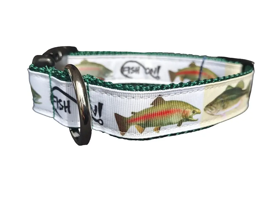 Thumbnail: Fish On Dog Collar