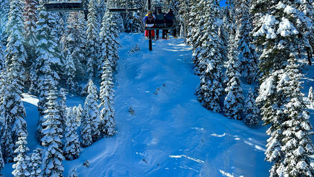Skis covered in pow 