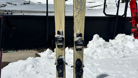 Best Big Mountain Women's Skis 24/25