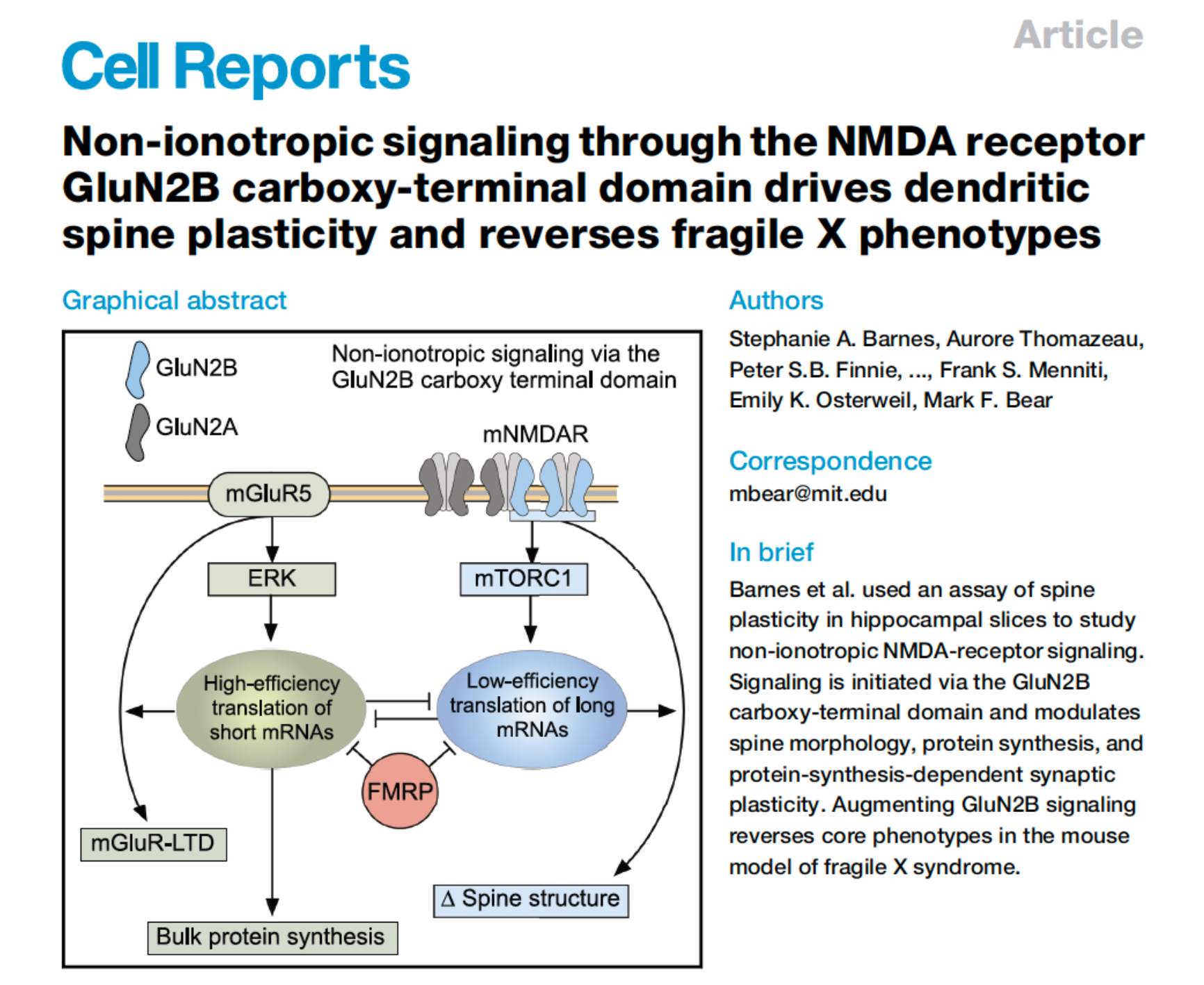 Non-ionotropic signaling through the NMDAreceptor GluN2B carboxy-terminal domain drives dendritic spine plasticity and reverses fragile X phenotypes