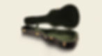 HARPTONE CASE