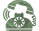 Haney-OldPhone-Clipped-Green.png