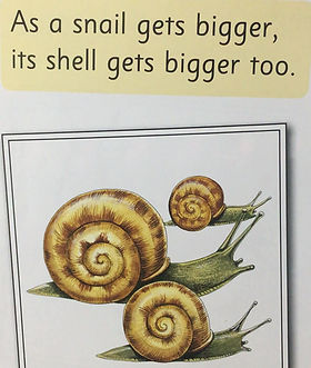 ジョリーフォニックス | Kaz英語教室