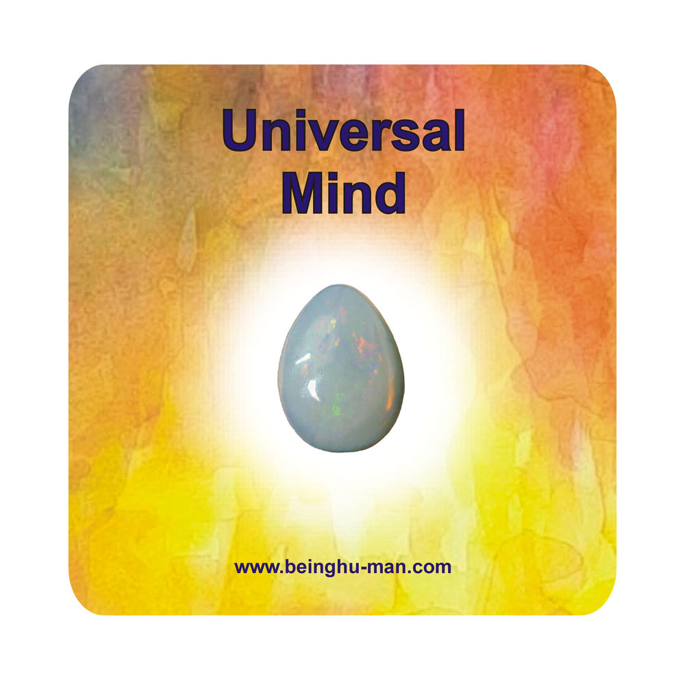 The Universal Mind