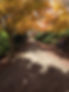 autum path.jpg