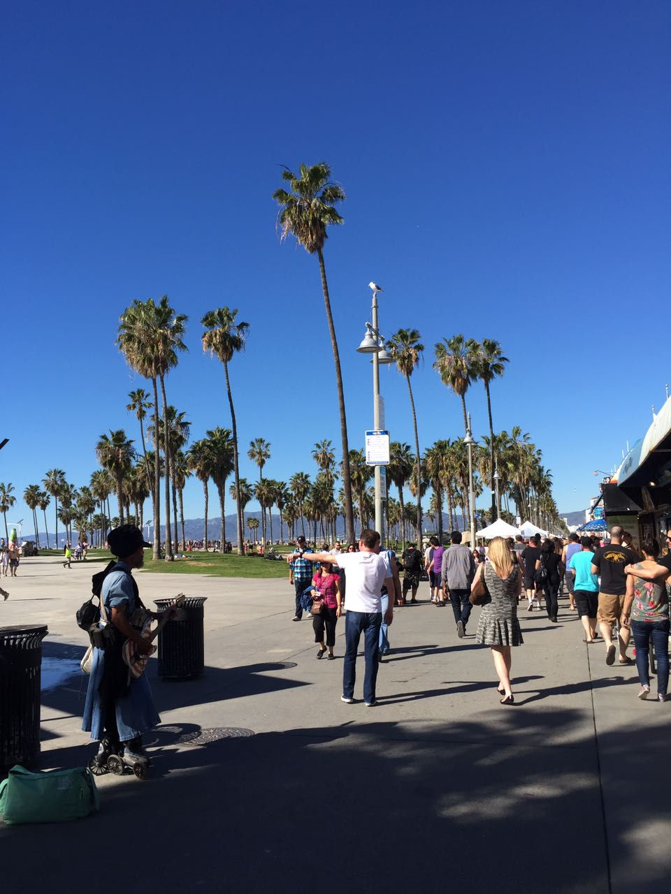 Venice Beach