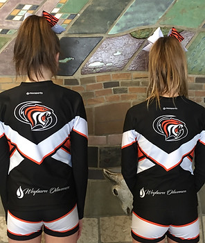 Weyburn Cheer Team