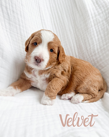 Beige Minimalist Reminder Instagram Post (Instagram Post (45)) - 3 (1).PNG