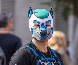 Pup Odn
