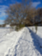 Chemin enneigé