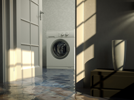 Oh No, My Washing Machine Flooded the House
