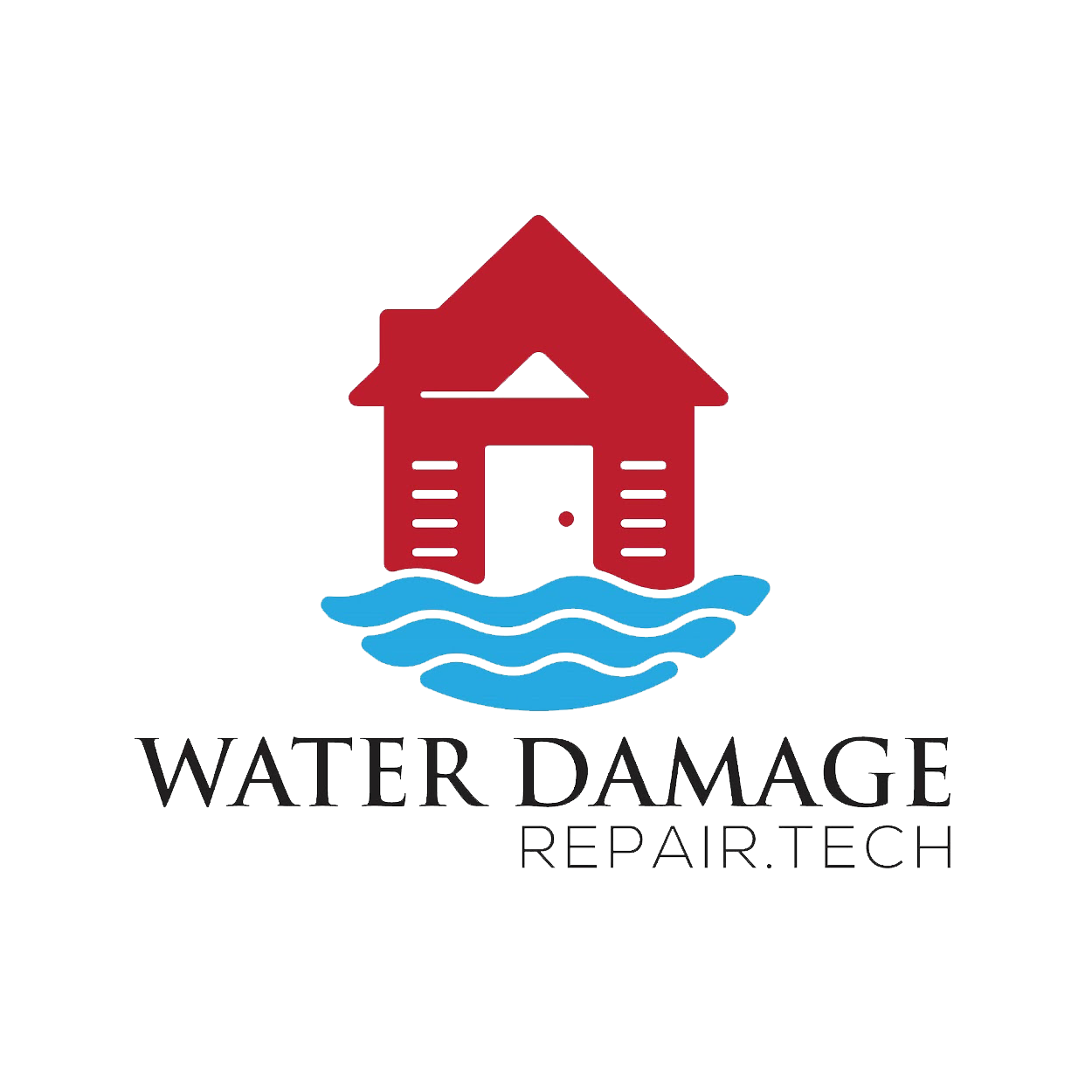 Water Damage Repair Tech