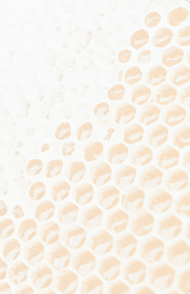 Close of up a honey comb