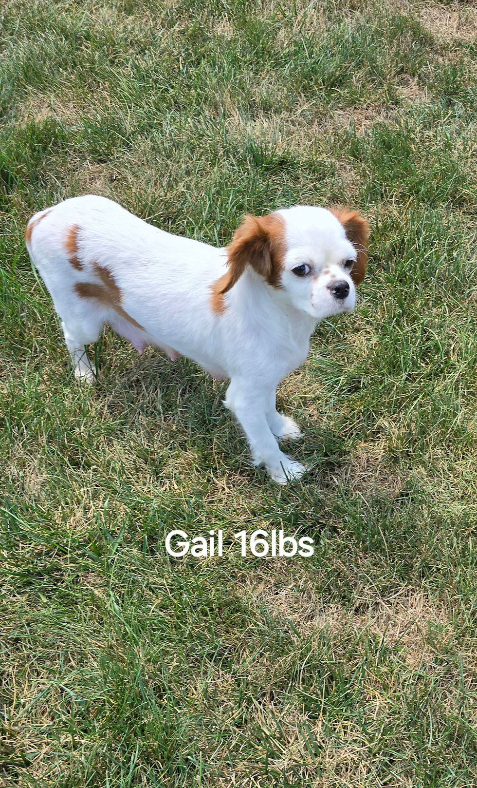Thumbnail: Riley
