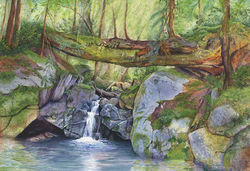 Hidden Falls
