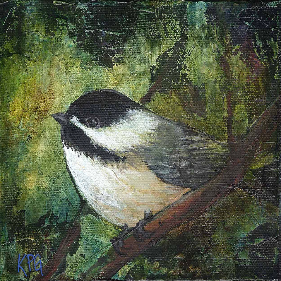 'Black Capped Chickadee' - 6 x 6 acrylic on canvas