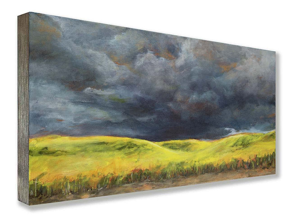 Storm and Sun by Katie P Garner, mounted print