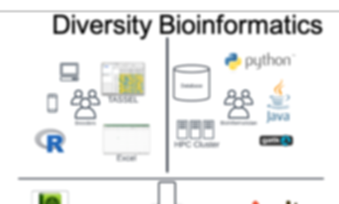 DiversityBioinformatics.png