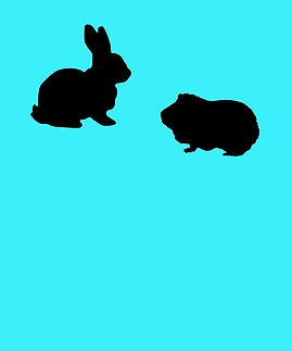 services-28.png