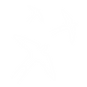 swallows.png